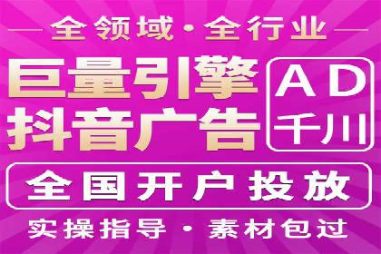 大型企业SEM外包实战案例